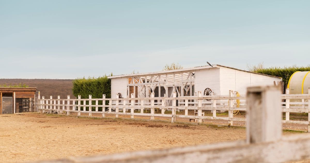 Horse Arena Footing: A Guide to Perfect Performance