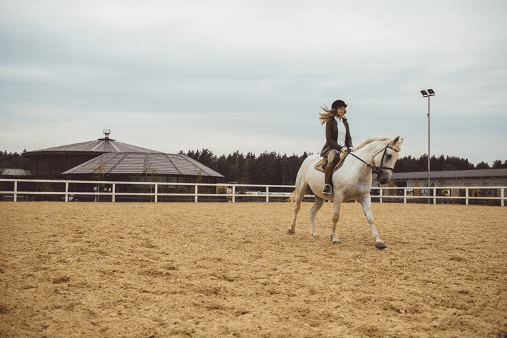 Arena Sand for Horses: How to Choose the Best Footing