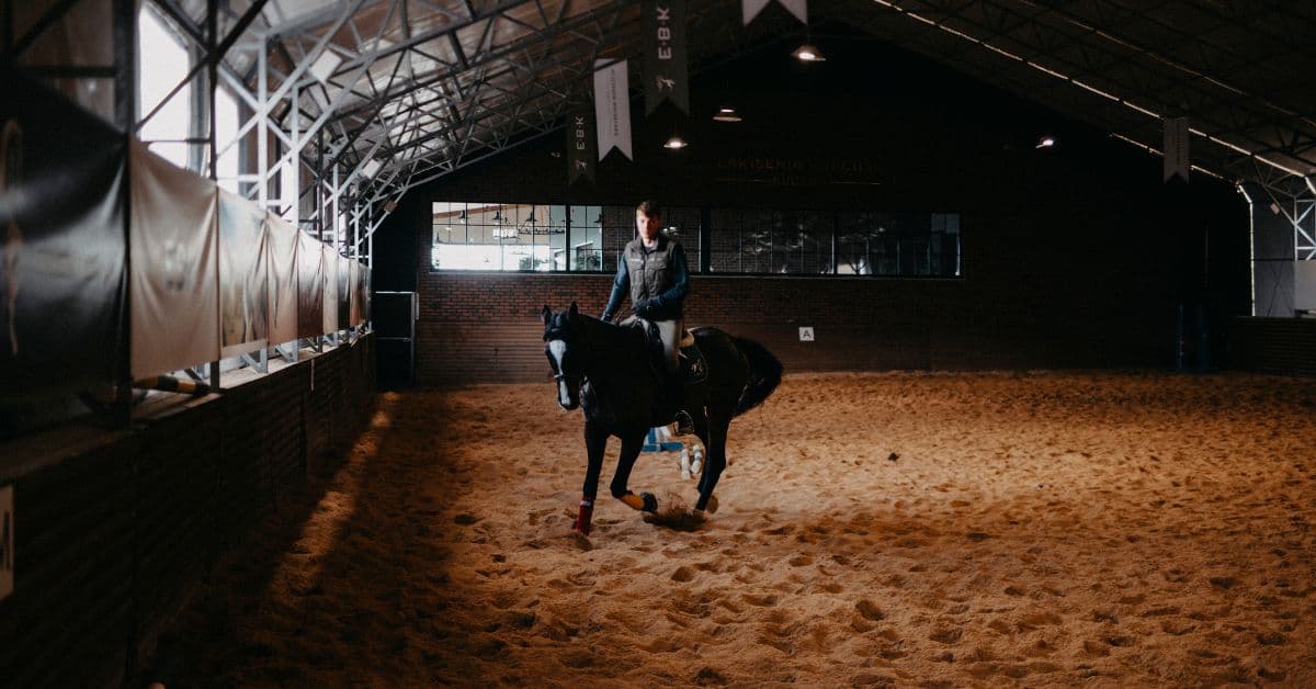 What is Horse Arena Footing? Top 6 Types of Arena Footing