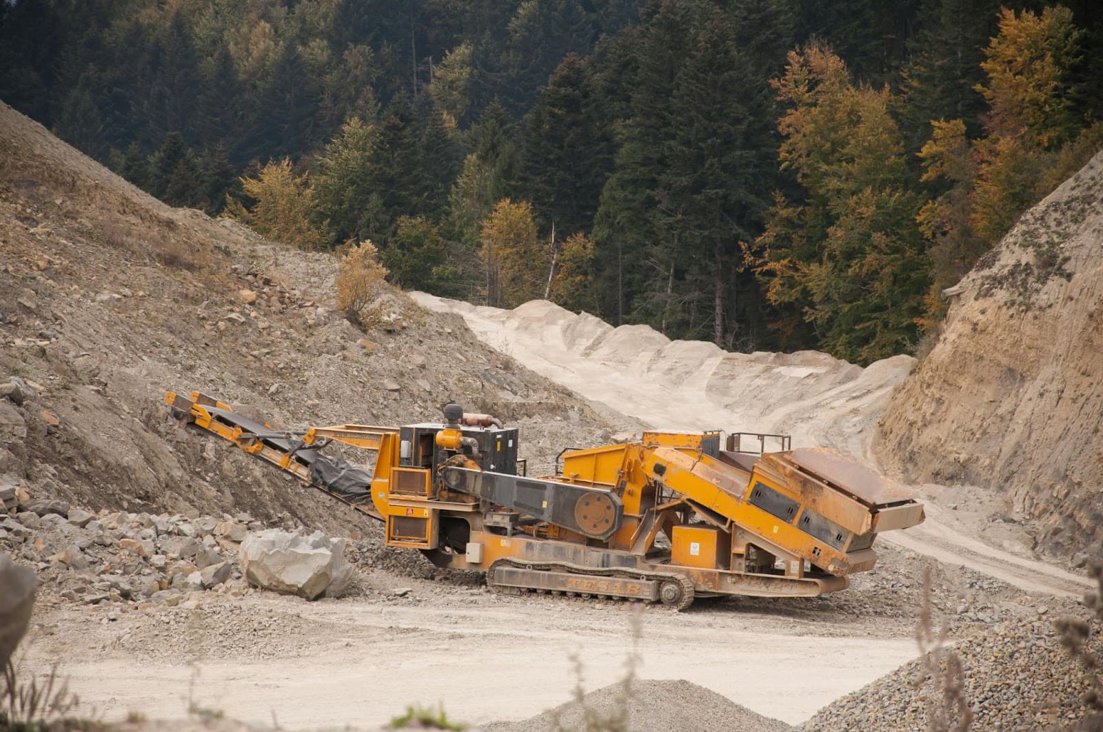 How to Use Large Rocks to Elevate Your Landscape Design?
