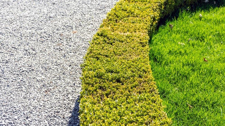 Where Does Medium-Size Gravel Work Best in Landscaping & Drainage Projects?