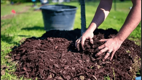 Is Bulk Mulch Delivery the Most Cost-Effective Option for Large Landscaping Projects?