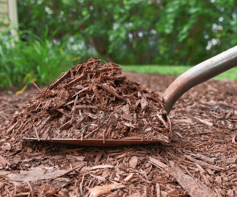 Best Mulch Types for Landscaping Projects