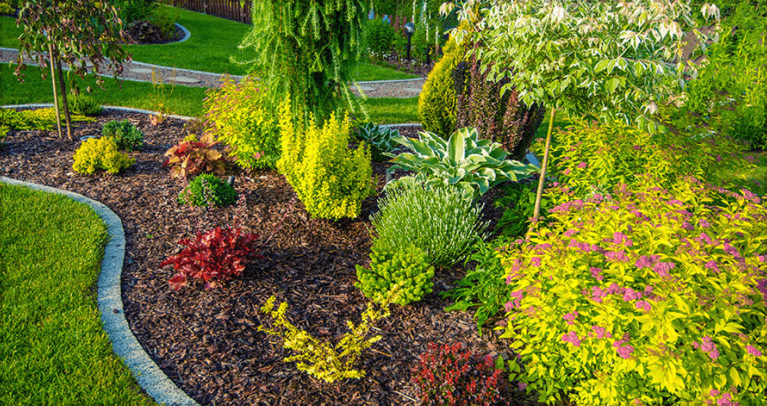 Landscaped garden bed with plants and mulch